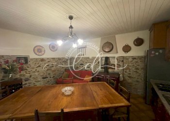 PHOTO-2025-09-24-17-35-27 3.jpg - Porzione di casa Massarosa - foto 11