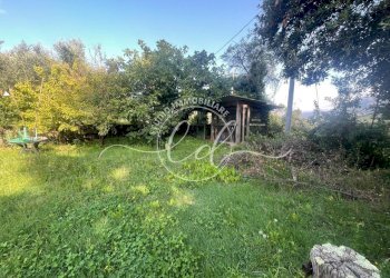 PHOTO-2025-09-13-09-39-48 4.jpg - Casa indipendente Massarosa - foto 17