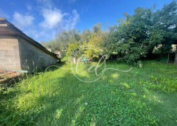 PHOTO-2025-09-13-09-39-49.jpg - Casa indipendente Massarosa - foto 25