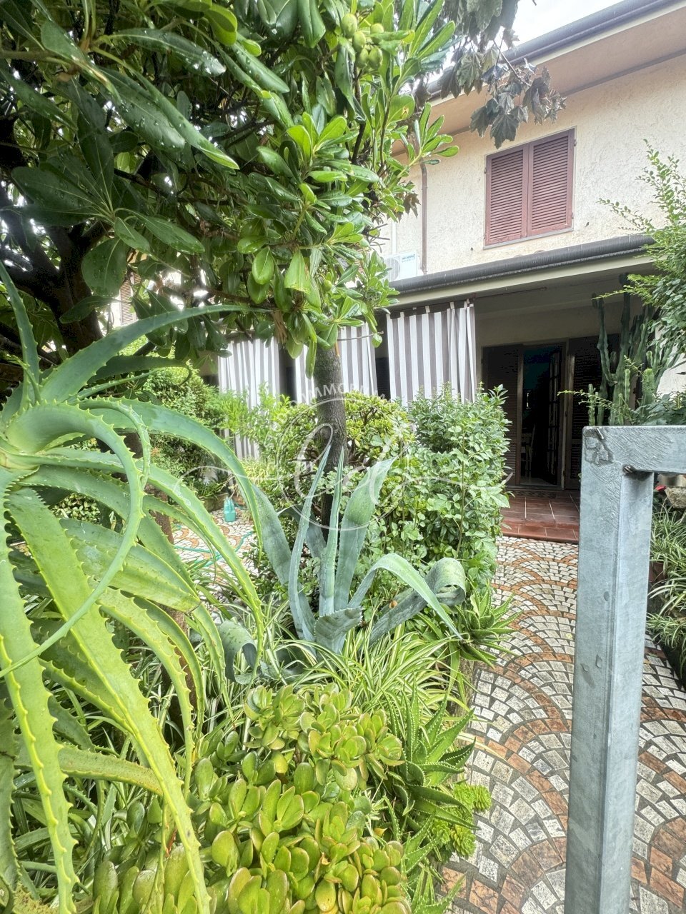 IMG_8914.JPG - Terraced Villa Seravezza - photo 2