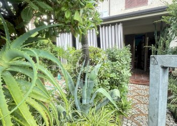 IMG_8914.JPG - Villa a Schiera Seravezza - foto 2