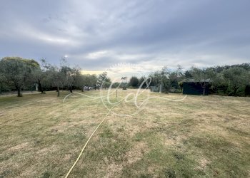 IMG_7266 3.JPG - Terreno edificabile Luni - foto 2