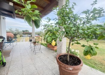 IMG_7268 3.JPG - Terreno edificabile Luni - foto 5