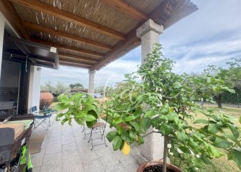 IMG_7269 2.JPG - Terreno edificabile Luni - foto 6