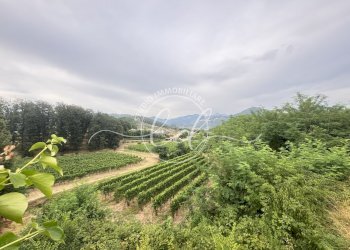 IMG_7283 3.JPG - Terreno edificabile Luni - foto 21