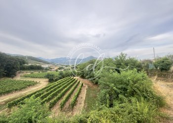 IMG_7284 3.JPG - Terreno edificabile Luni - foto 22