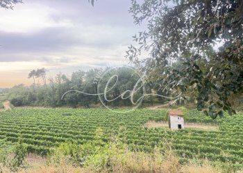 IMG_7286 2.JPG - Terreno edificabile Luni - foto 24