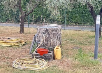 IMG_7289.JPG - Terreno edificabile Luni - foto 27