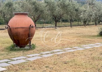 IMG_7290 2.JPG - Terreno edificabile Luni - foto 28