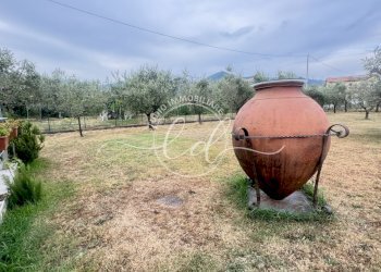 IMG_7293 2.JPG - Terreno edificabile Luni - foto 29