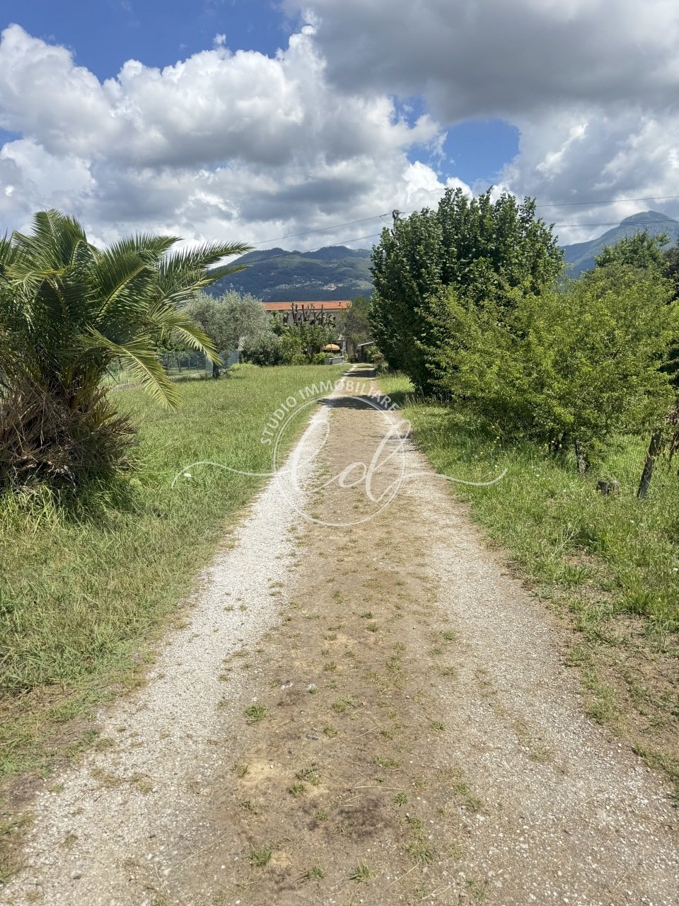 IMG_7805 2.JPG - Portion of a house Pietrasanta - photo 1
