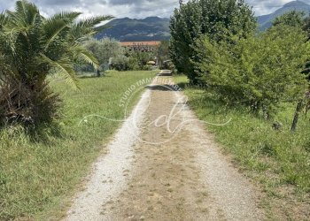 IMG_7805 2.JPG - Porzione di casa Pietrasanta - foto 1