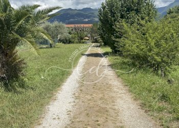 IMG_7806 3.JPG - Porzione di casa Pietrasanta - foto 2