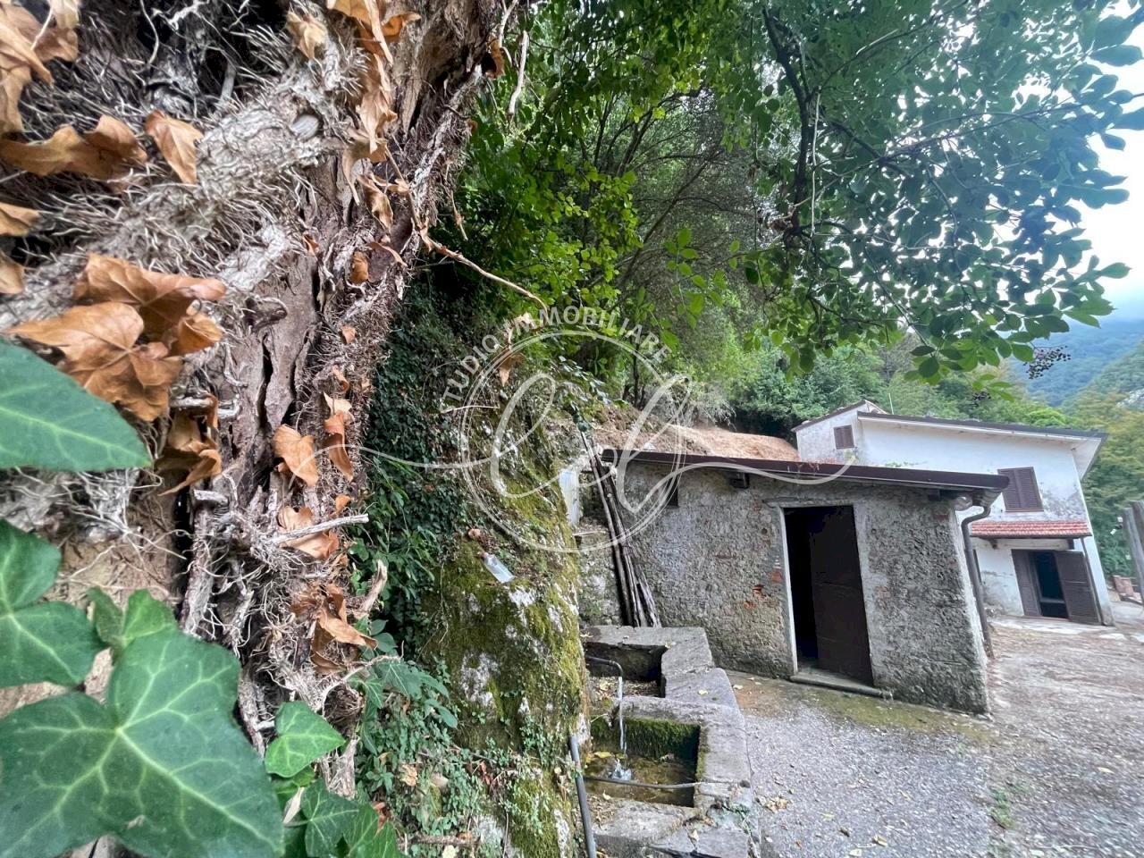 7bec3ac1-0bbb-4b68-b32a-3109bde6d47b.jpeg - Porzione di casa Camaiore - foto 2