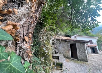 7bec3ac1-0bbb-4b68-b32a-3109bde6d47b.jpeg - Porzione di casa Camaiore - foto 2