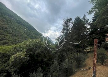 3bc4a997-bc2c-469c-8564-993bfe84aca5.jpeg - Porzione di casa Camaiore - foto 16