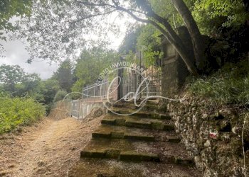 8edd0d42-07e1-4dc3-a3ff-1b8425bcf922.jpeg - Porzione di casa Camaiore - foto 17