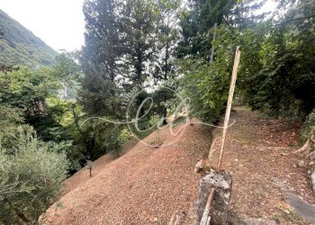 0494443f-4aa6-4c92-81f2-4d82118a996d.jpeg - Porzione di casa Camaiore - foto 24