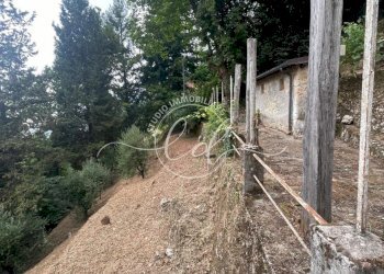 7208f18b-22ea-4482-98d3-bb547de25c22.jpeg - Porzione di casa Camaiore - foto 25