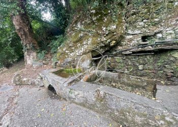 1264d836-4bce-48cf-92d9-dee4cdd51795.jpeg - Porzione di casa Camaiore - foto 26