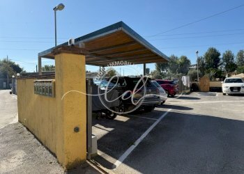 PHOTO-2025-07-16-12-22-24 8.jpg - Porzione di casa Seravezza - foto 24