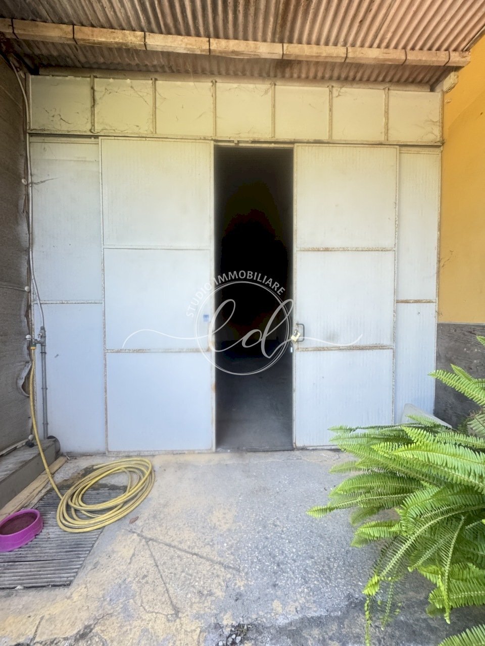 IMG_7429.JPG - Capannone Seravezza - foto 1