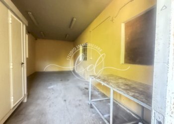 IMG_7427.JPG - Shed Seravezza - photo 4