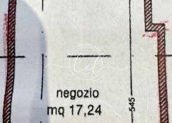 IMG_7410.JPG - Locale Commerciale Pietrasanta - foto 9