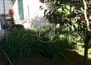 14.jpeg - Porzione di casa Carrara - foto 10