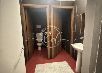 IMG_6995.JPG - Capannone Pietrasanta - foto 11