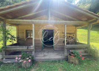 WhatsApp Image 2025-06-04 at 16.21.36 (5).jpeg - Villa Camaiore - foto 9