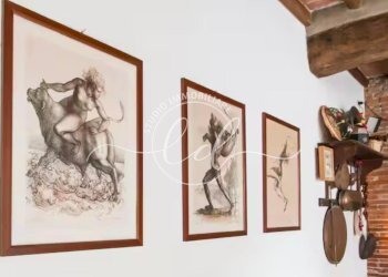 WhatsApp Image 2025-05-26 at 16.33.37 (4).jpeg - Appartamento Pietrasanta - foto 17