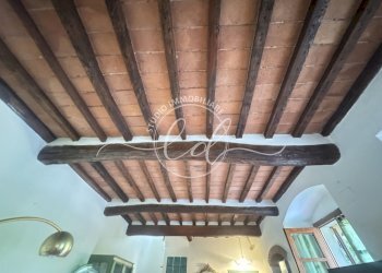 IMG_6055.JPG - Porzione di casa Forte dei Marmi - foto 13