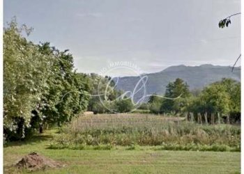 489004630_9718424018215412_4763225872151272053_n.j - Terreno agricolo Pietrasanta - foto 1