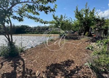 498136810_664706603102171_8245475491220175394_n.jp - Terreno agricolo Pietrasanta - foto 1