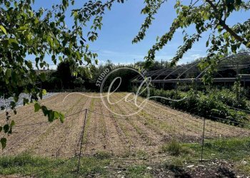 498136810_2136283710127744_4206512403623347286_n.j - Terreno agricolo Pietrasanta - foto 2