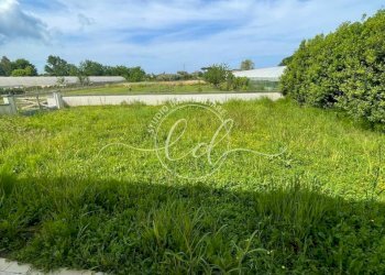 PHOTO-2025-05-19-10-44-03.jpg - Villa Camaiore - foto 15