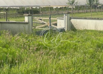 PHOTO-2025-05-19-10-44-05.jpg - Villa Camaiore - foto 17