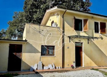 WhatsApp Image 2025-04-05 at 11.50.19 (7).jpeg - Porzione di casa Pietrasanta - foto 1