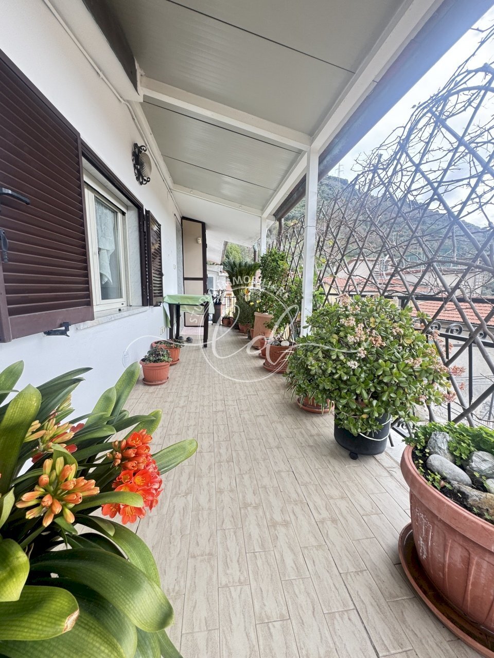 IMG_4080 3.JPG - Appartamento Massa - foto 3