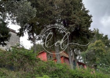 PHOTO-2025-03-06-20-08-31.jpg - Casa indipendente Massarosa - foto 2