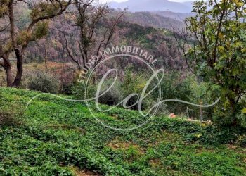 PHOTO-2025-03-06-20-08-31 4.jpg - Casa indipendente Massarosa - foto 25