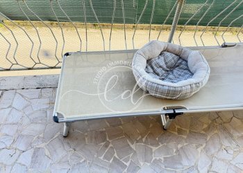 IMG_3418.JPG - Appartamento Pietrasanta - foto 30