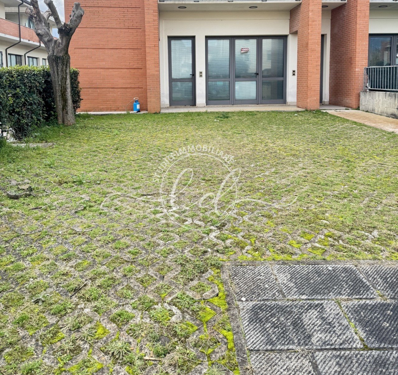 29724.jpg - Capannone Camaiore - foto 1