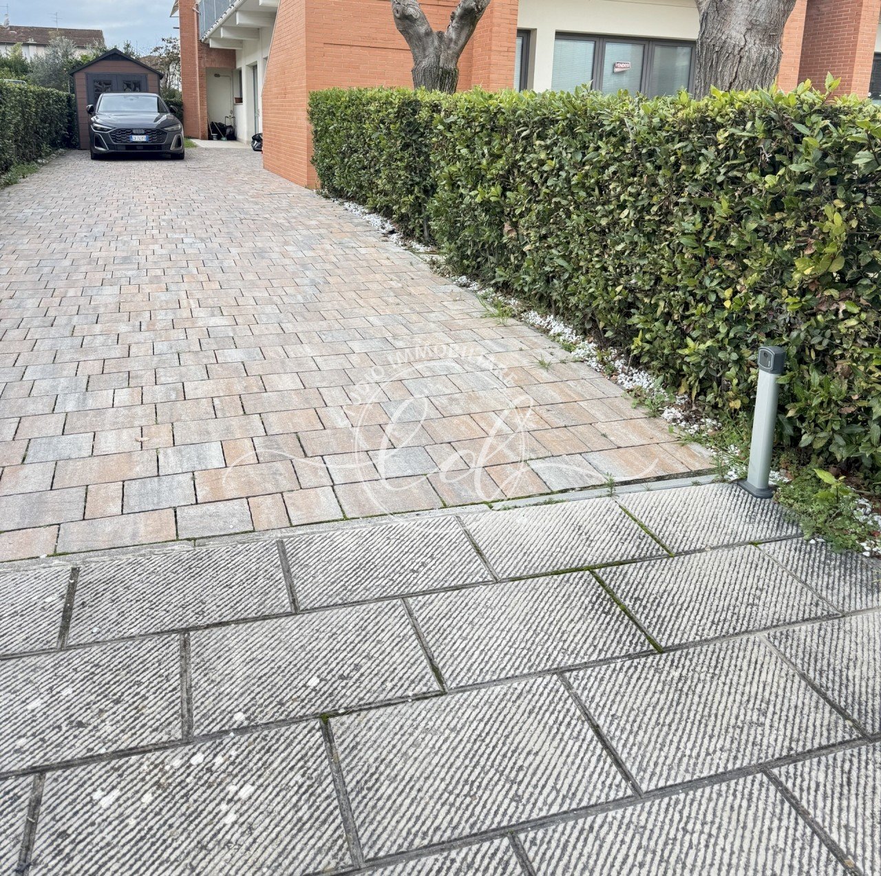 29726.jpg - Capannone Camaiore - foto 2