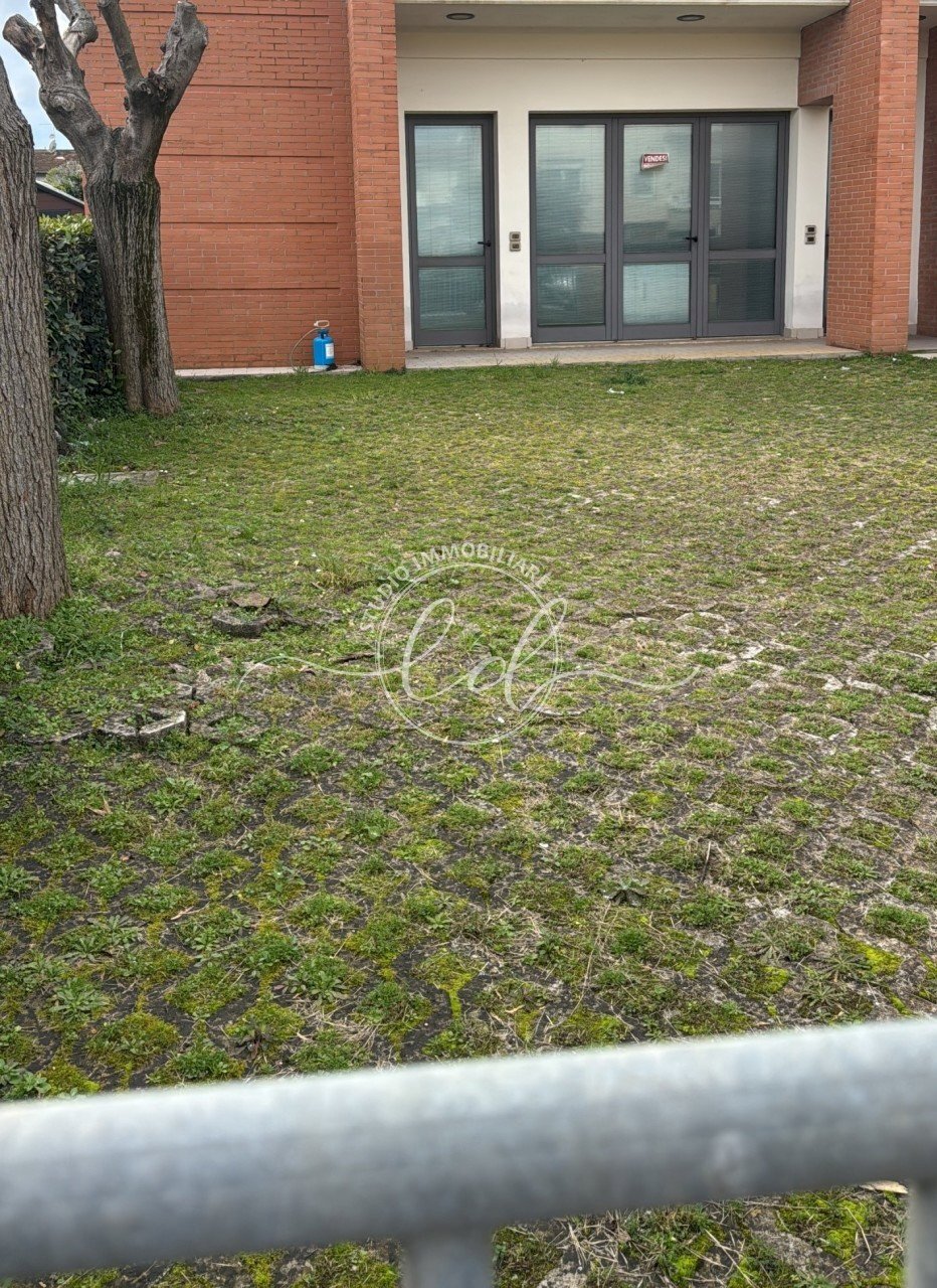 29723.jpg - Capannone Camaiore - foto 3