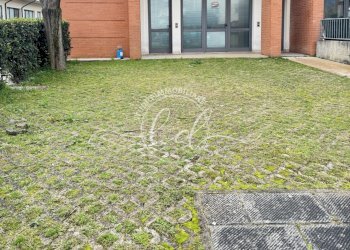 29724.jpg - Capannone Camaiore - foto 1