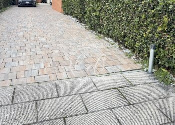 29726.jpg - Capannone Camaiore - foto 2