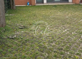 29723.jpg - Capannone Camaiore - foto 3