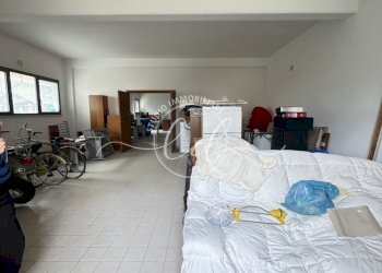 IMG_2340.JPG - Capannone Camaiore - foto 4